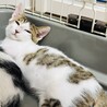 甘えん坊で食いしん坊！うみ君 サムネイル6