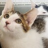 甘えん坊で食いしん坊！うみ君 サムネイル7
