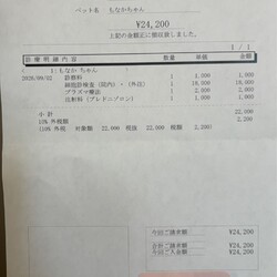 【もなか君 通院報告】