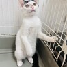 個性的な前髪と女の子らしいお顔のうめちゃん サムネイル5
