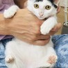 個性的な前髪と女の子らしいお顔のうめちゃん サムネイル7