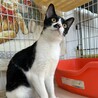 リマちゃん！再出発です！ サムネイル2