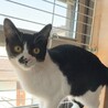 リマちゃん！再出発です！ サムネイル3