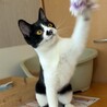 リマちゃん！再出発です！ サムネイル4