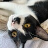 リマちゃん！再出発です！ サムネイル5