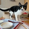 リマちゃん！再出発です！ サムネイル6