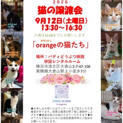 orangeの猫たちの譲渡会in大倉山