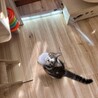 三姉妹♥おねだり上手♡ココちゃん サムネイル6