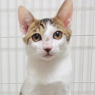 甘えん坊で食いしん坊！うみ君