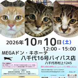 花ねこ譲渡会