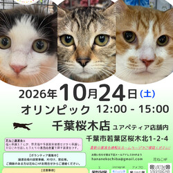花ねこ譲渡会
