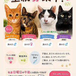 多摩市唐木田　お見合い