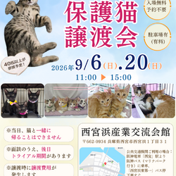西宮保護ねこ かぎしっぽ主催譲渡会