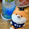 ポリまる