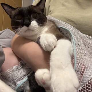 人が怖いビビりな性格の２匹♂