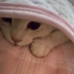 愛されてる！
