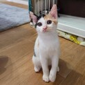 これから慣れてくれそうな雰囲気♡さやちゃん