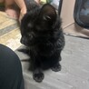 みえーる