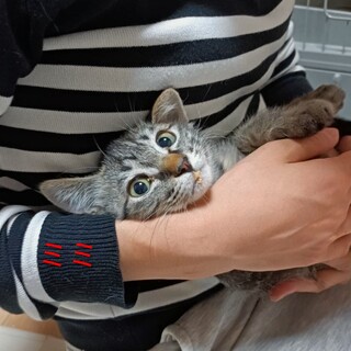 おっとり穏やかなミミちゃん