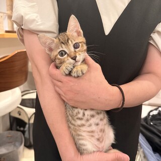 片目でキュートなプリンセスカリナちゃん