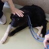 左手だけ手袋を忘れた？可愛い【嵐】くん