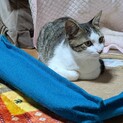 ぎじしろ兄弟