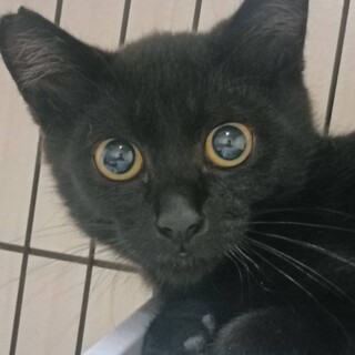 〝ぴぴ君〟です♪