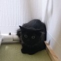 〝やまと君〟です♪