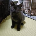 〝オレオ君〟です♪