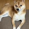 Takuma0503