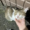 ねこのぱんつ