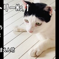 ももたろう
