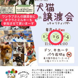 ドンキホーテパウ石切