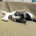 タレ目の可愛い男の子です
