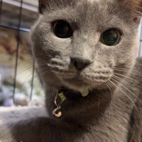 ウミ（碧）