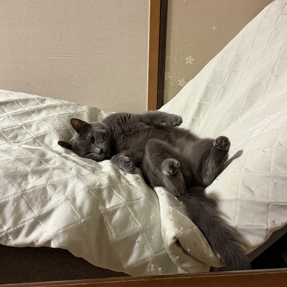 ウミ（碧）のカバー写真