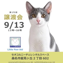 三重県桑名市9月13日(日)リトルパウエイド譲渡会