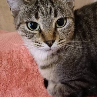 人馴れ抜群！甘えん坊なメアリちゃん