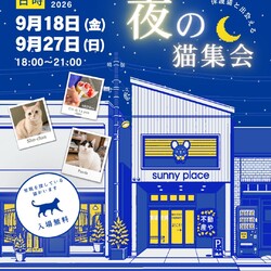 夜の譲渡会