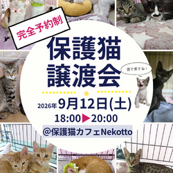 保護猫譲渡会