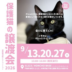 保護猫の譲渡会