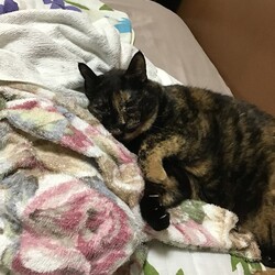 なんとか・・無事に・・・回復中？？