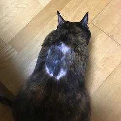 「なんとか・・無事に・・・回復中？？」サムネイル3
