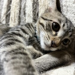 ずっと一緒