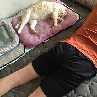 トムキャット！ボクもパパさんが一番好きなんだ、同じだね！