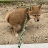 みぃーろ