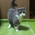 おっとりマイペースな⭐︎葉月ちゃん⭐︎