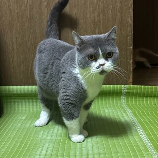 おっとりマイペースな⭐︎葉月ちゃん⭐︎