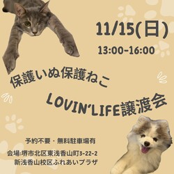 ラビンライフ譲渡会