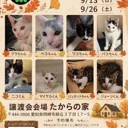 9月13日（日）たからの家 ノエルハウス譲渡会